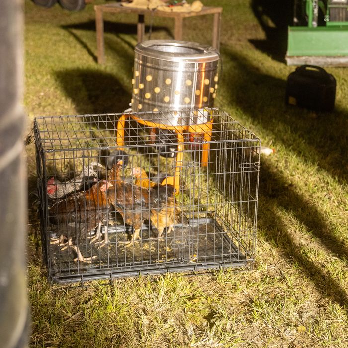 The black-pot cooker over open flame