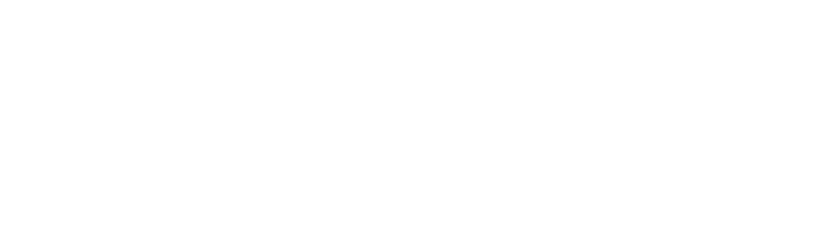 Sunbelt Rentals