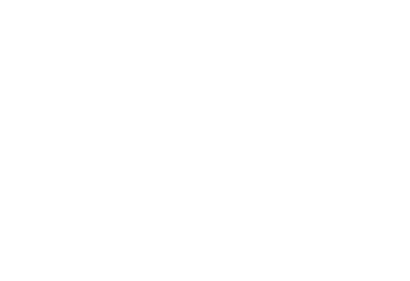 Zydeco Extravaganza